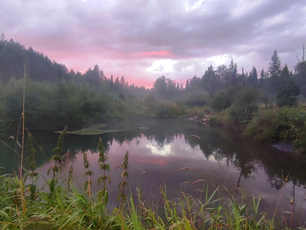 Туман над озером