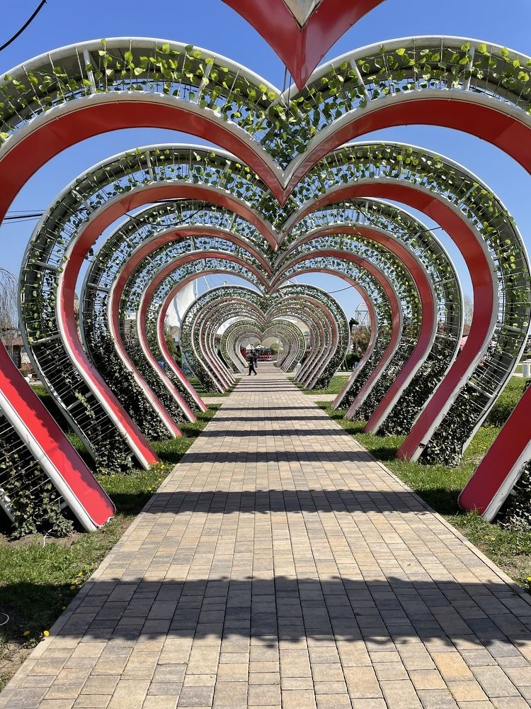 Photograph by Елена Будычева