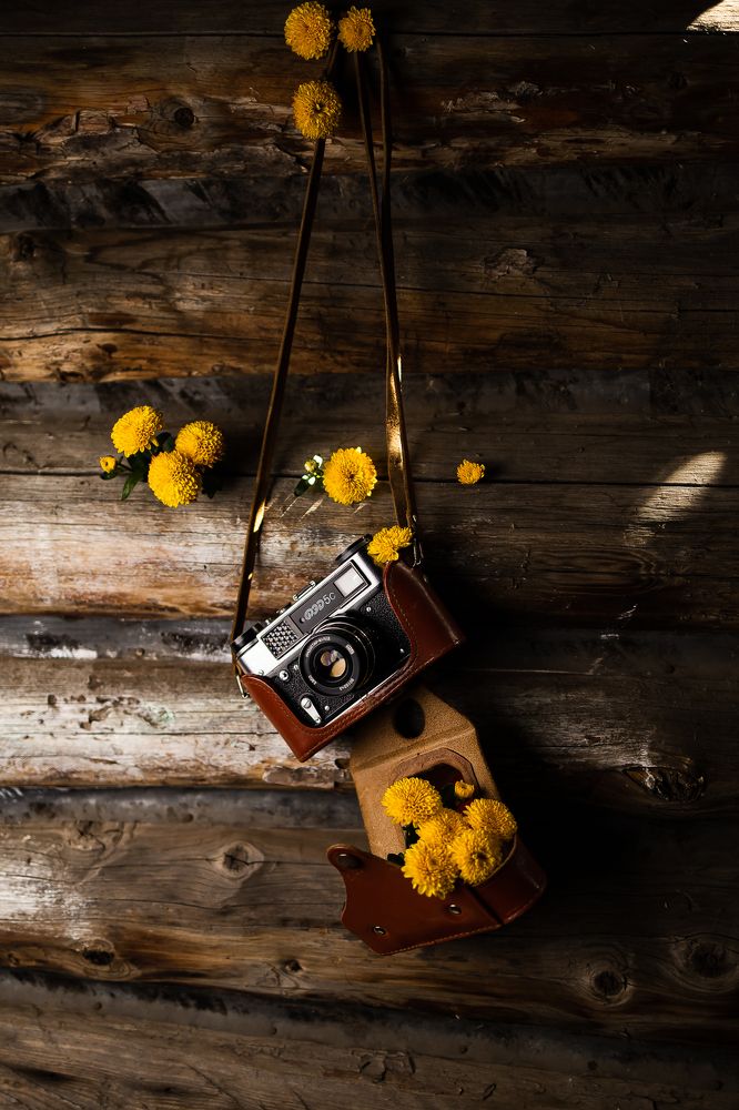 Фотография автора Александр Петухов