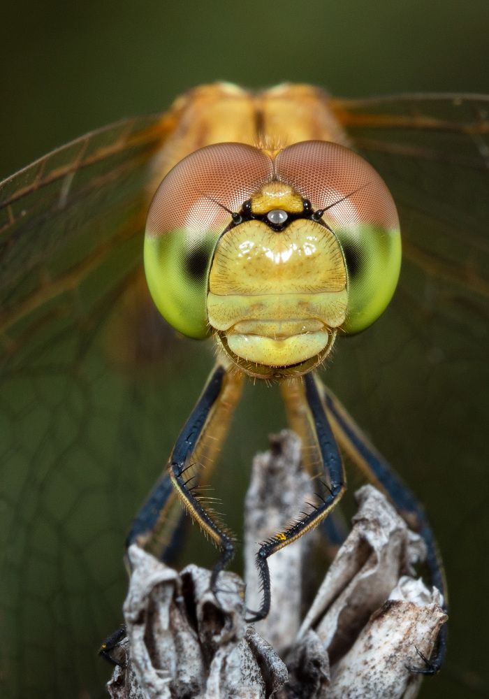 Photograph by Алексей Зайцев