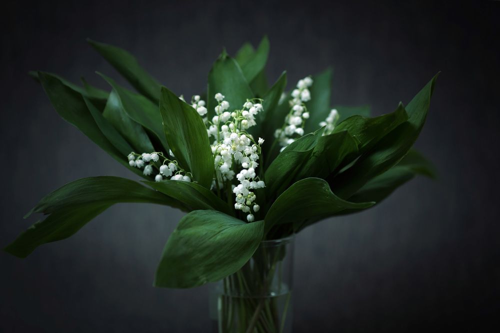 Photograph by Мурат Кужахметов