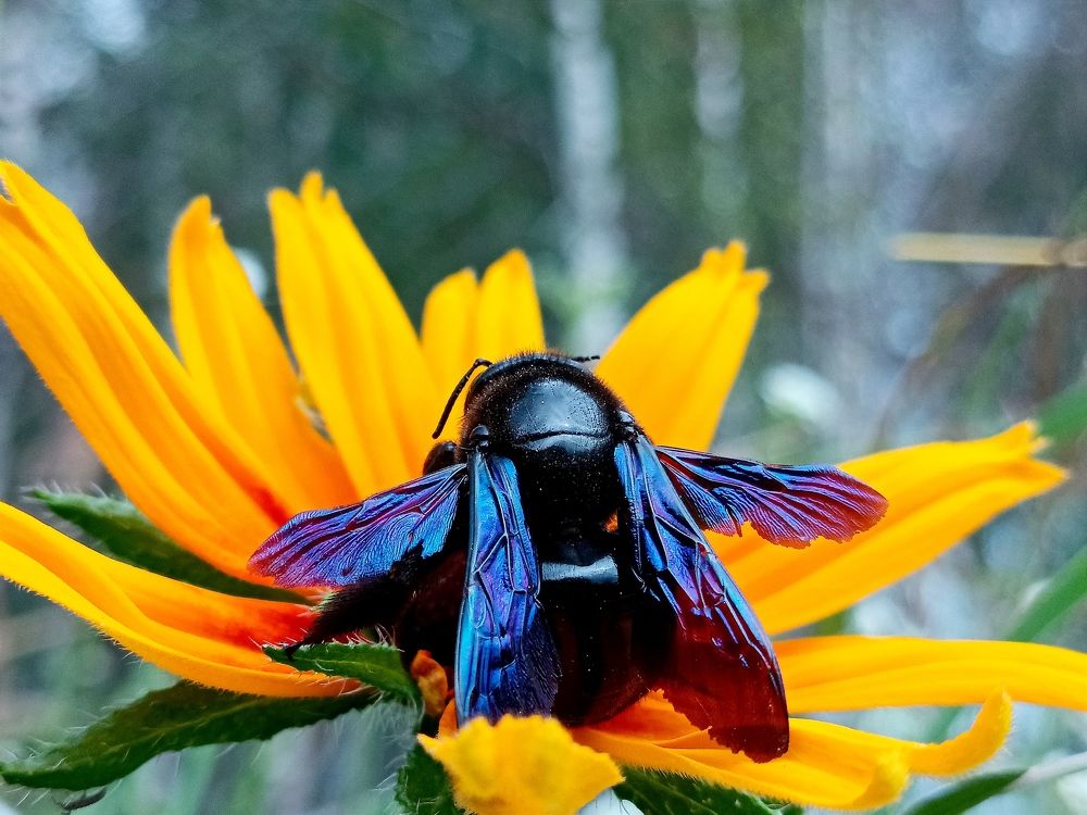 Photograph by Олег Губаревич