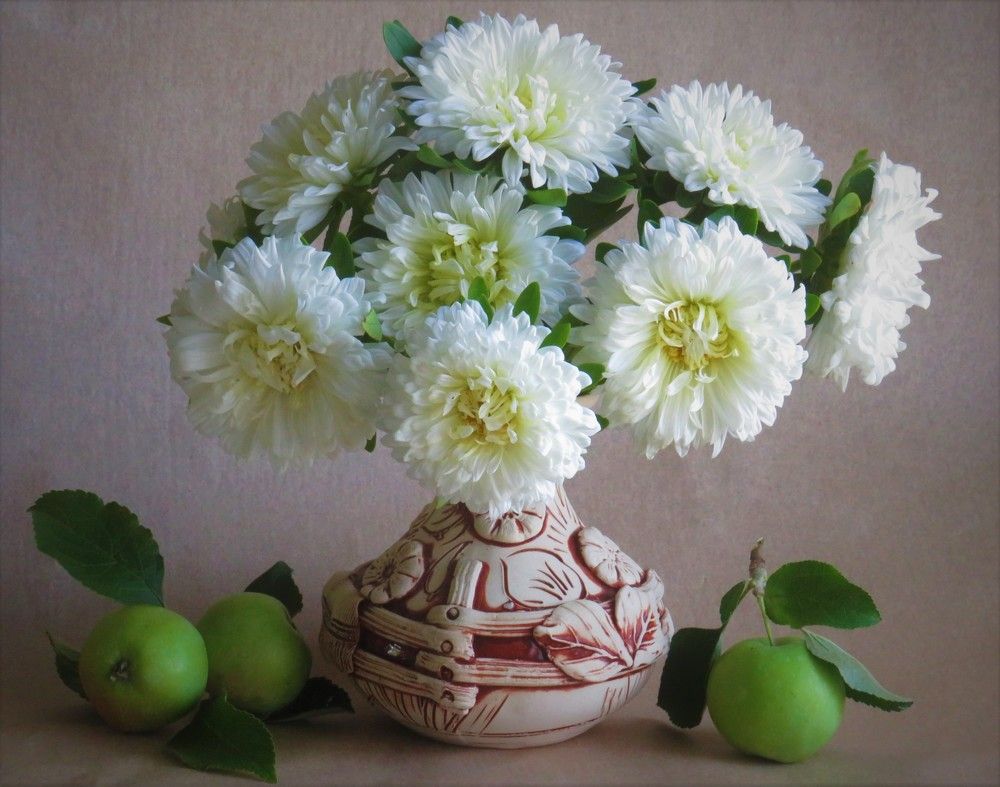 Август-астры