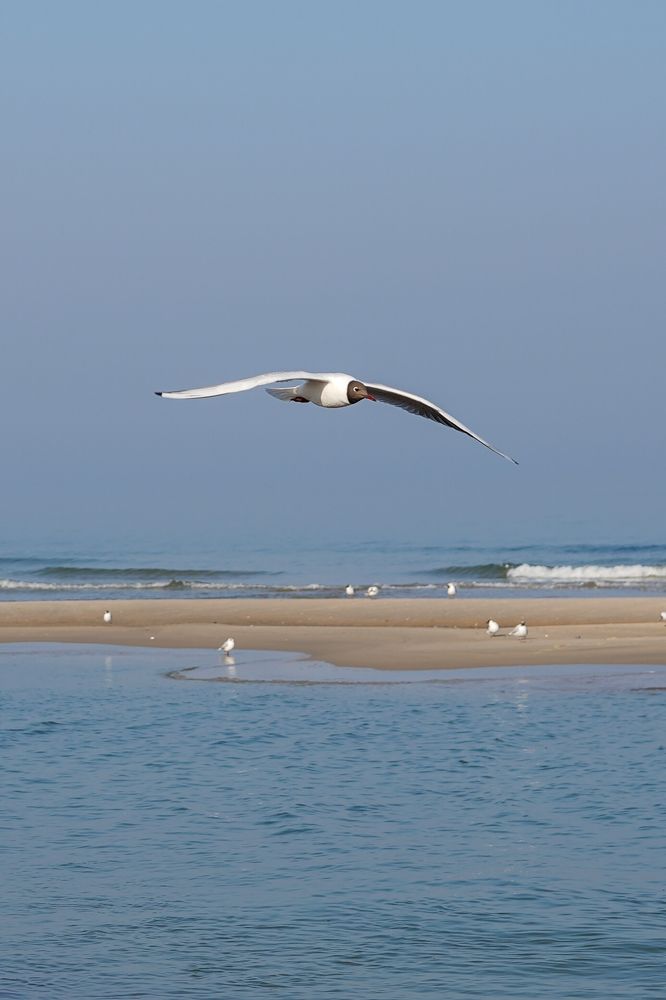 Photograph by Павел Глазков