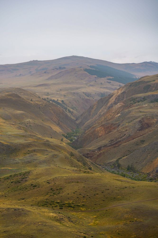 Photograph by Павел Глазков