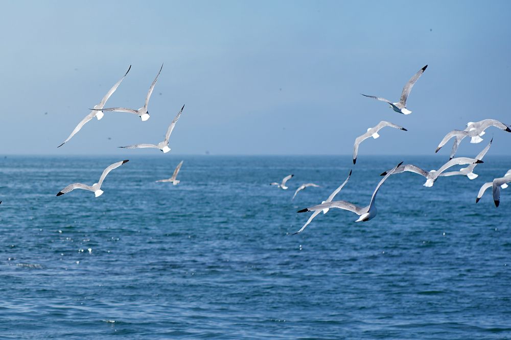 Photograph by Павел Глазков