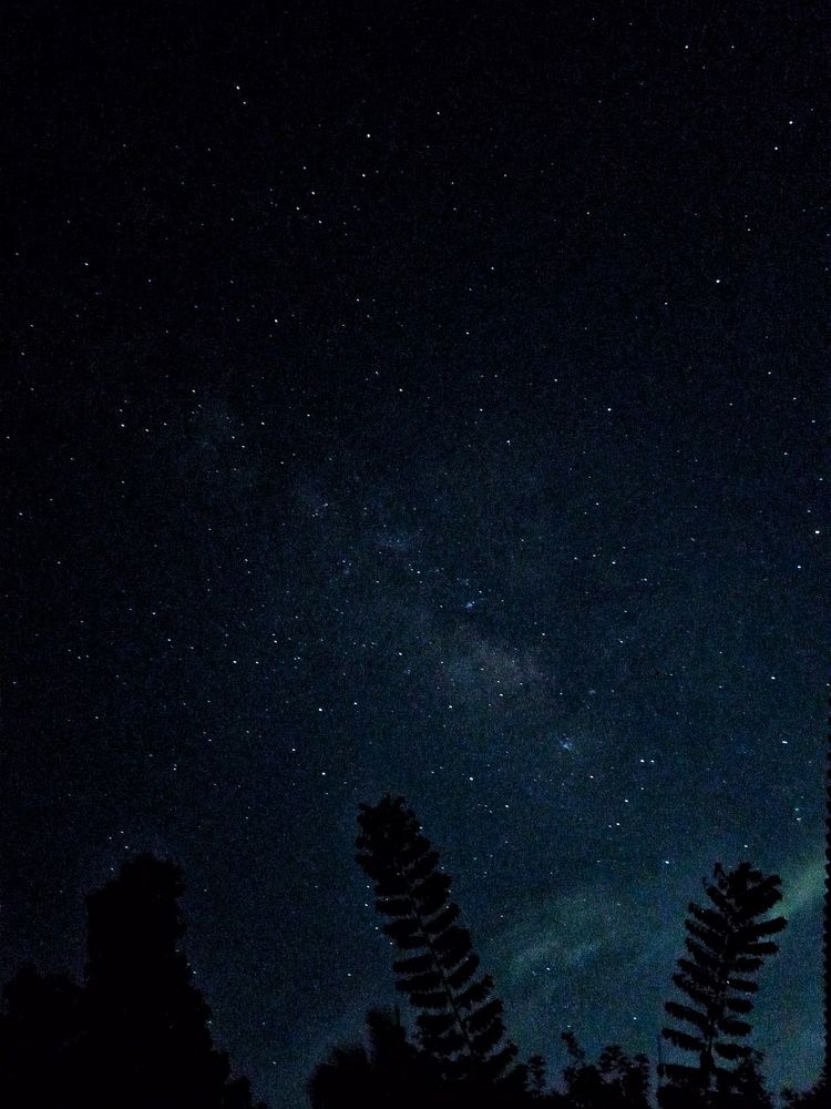 Photograph by Thimira adinisuru Ayiththappullige