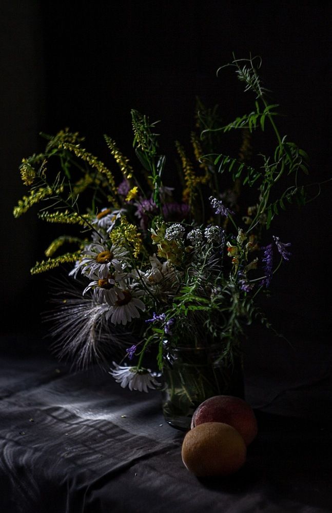 Photograph by Екатерина Першина