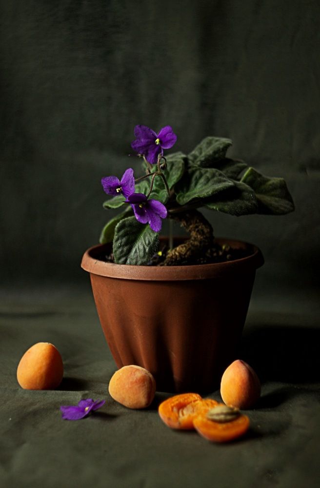 Photograph by Екатерина Першина