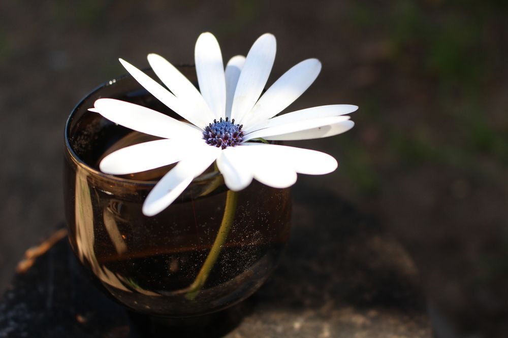 Photograph by Кристина Медведюк