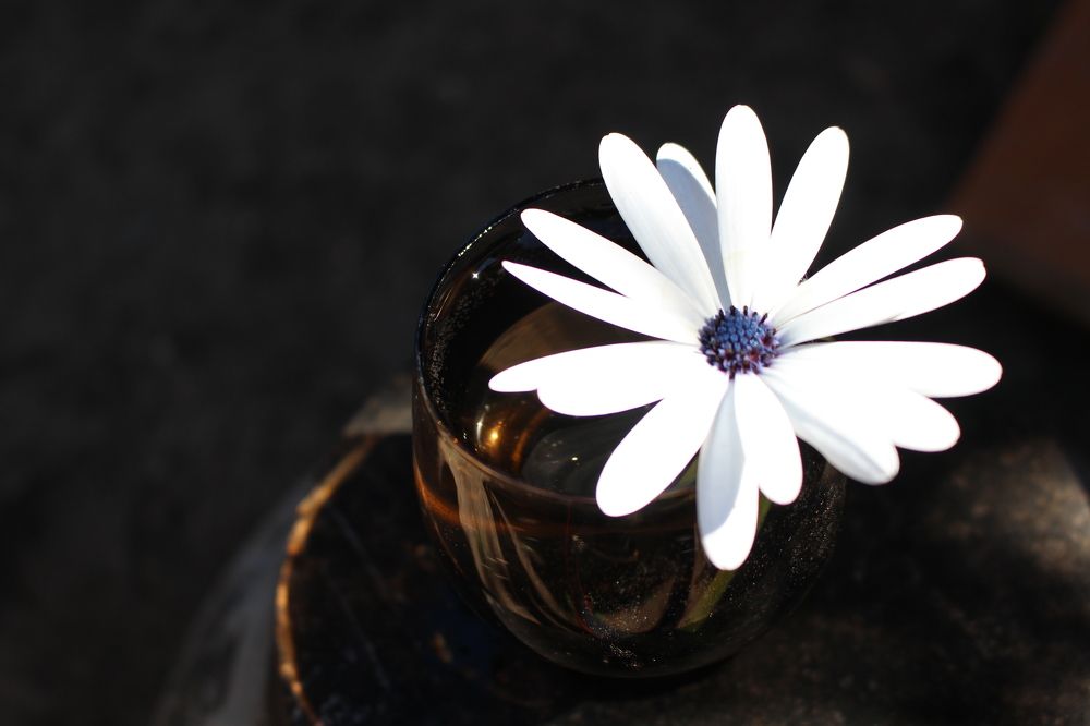 Photograph by Кристина Медведюк