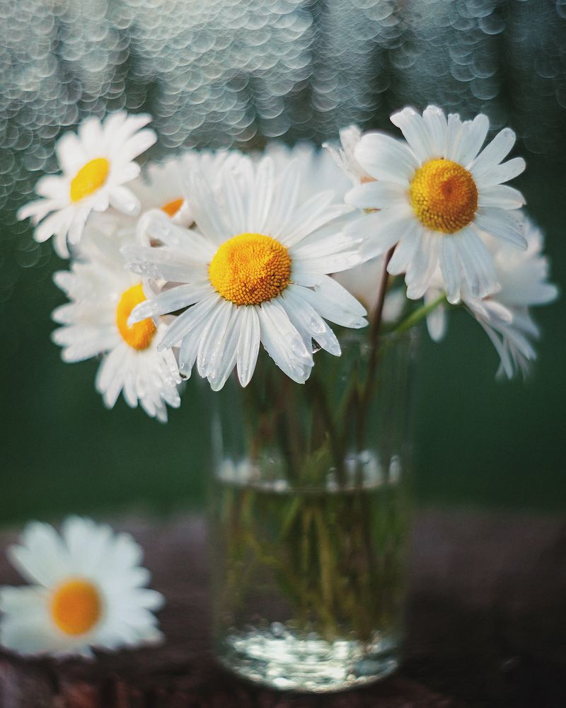 Фотография автора Наталья Ветошкина