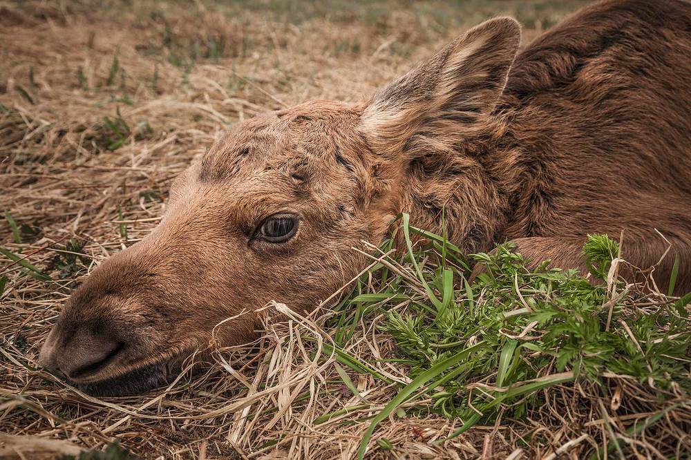 Photograph by Напалкин Станислав