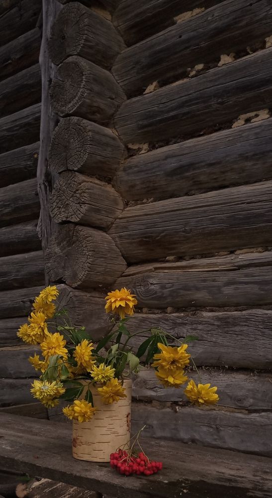 Photograph by Анастасия Кичигина