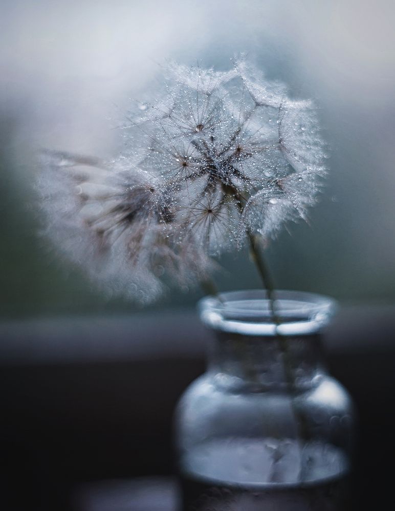 Photograph by Наталья Ветошкина