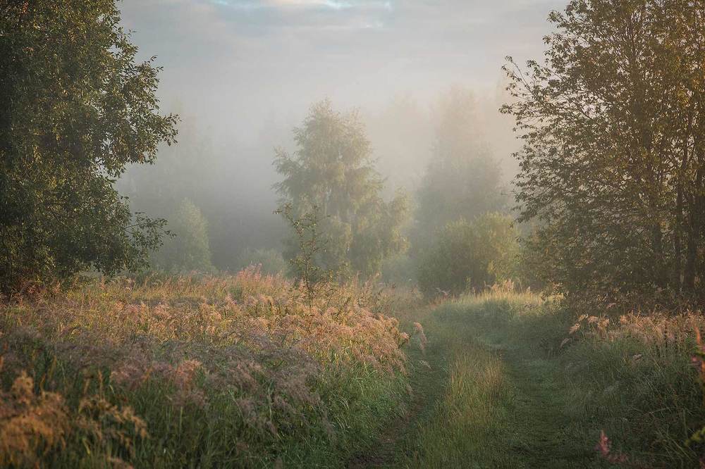 Photograph by Напалкин Станислав