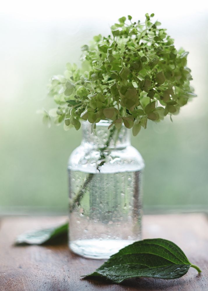 Фотография автора Наталья Ветошкина