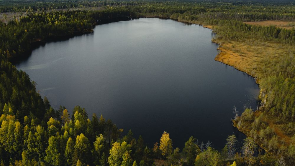 Photograph by Дайана Кириллова