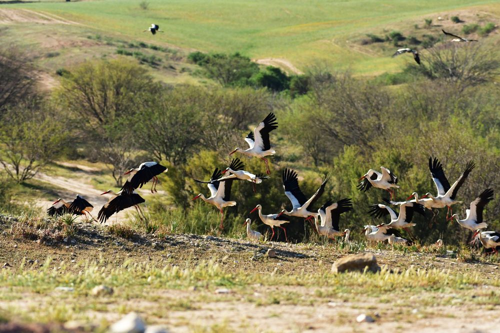 Photograph by Dagmara Giller