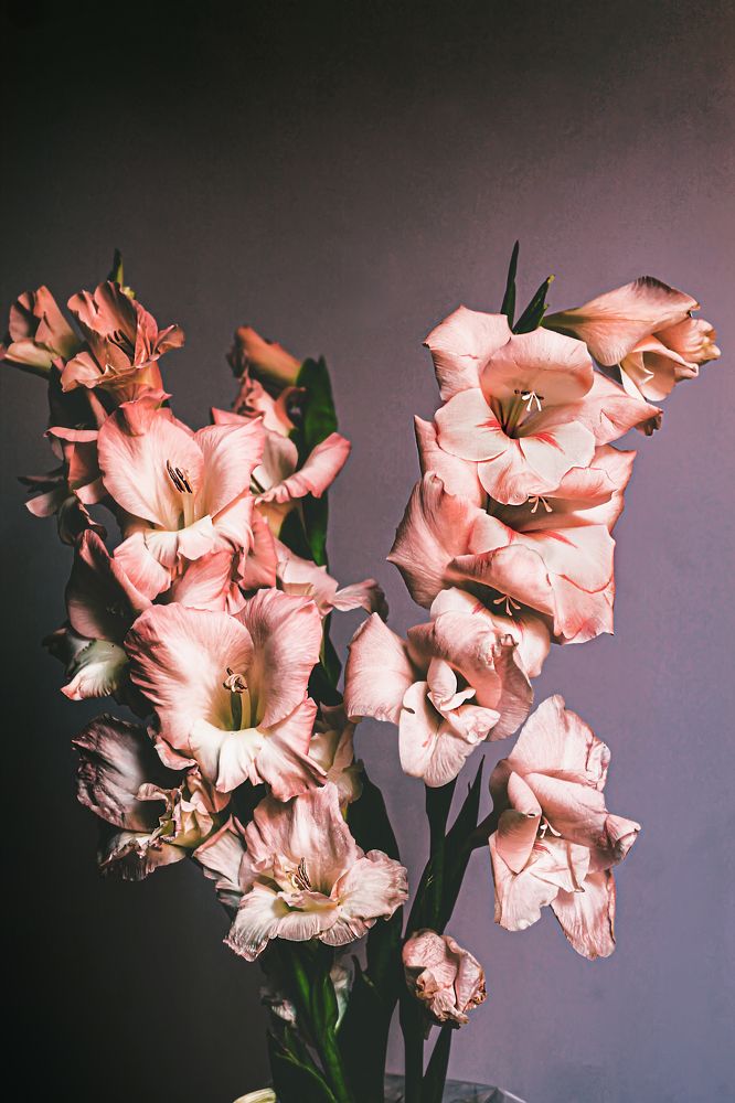 Photograph by Елена Кудейкина