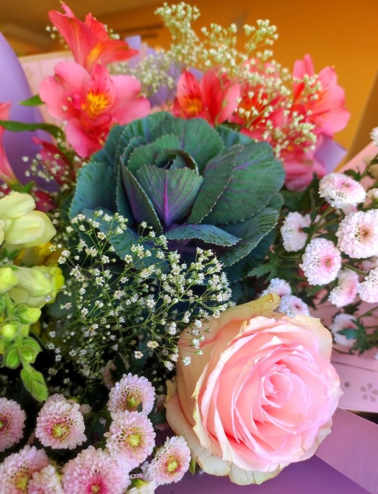 Photograph by Надежда