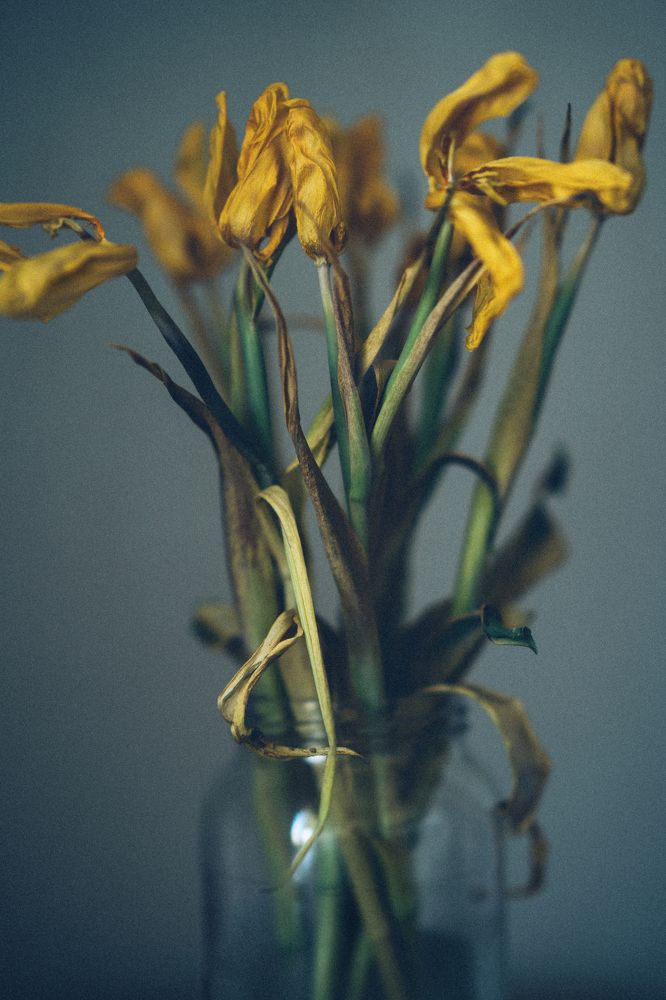 Photograph by Денис