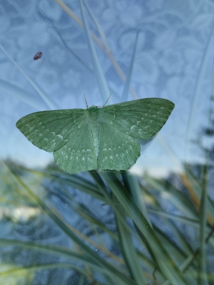 Photograph by Екатерина Супраненок