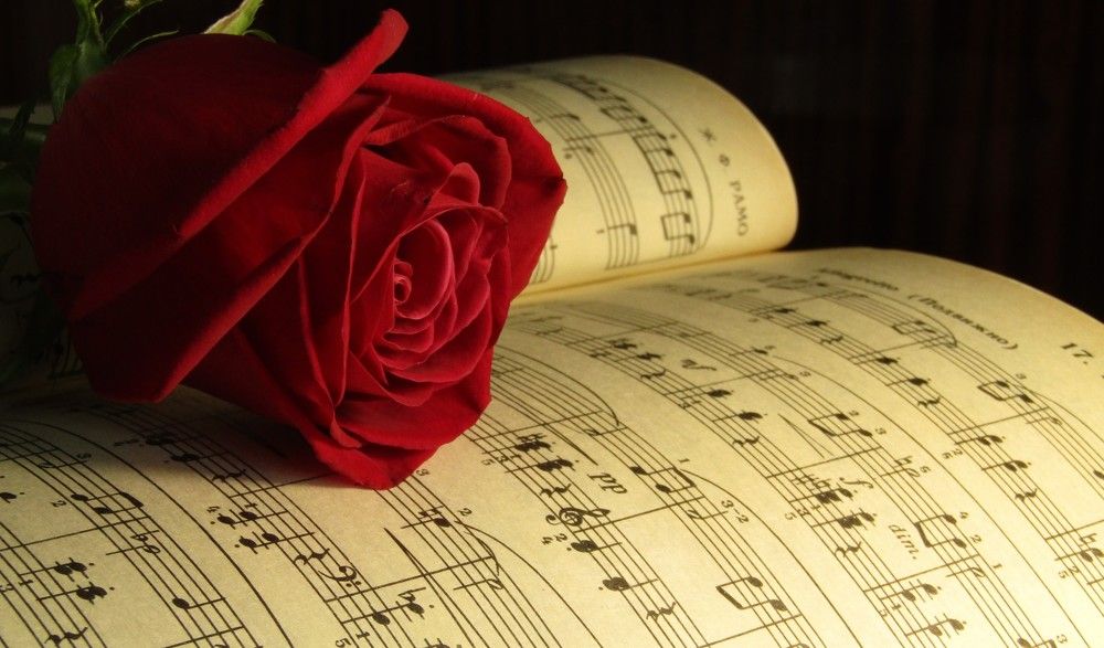 Photograph by Nadezhda