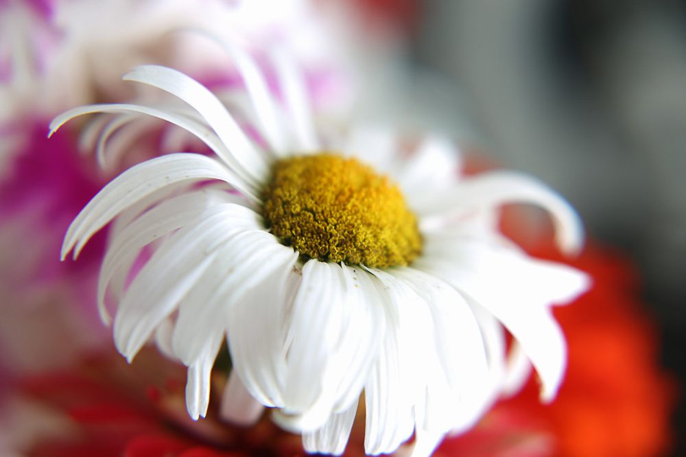 Photograph by Анатолий Буянов