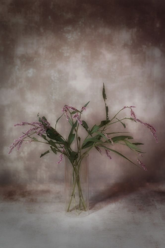 Photograph by Елена Ласун