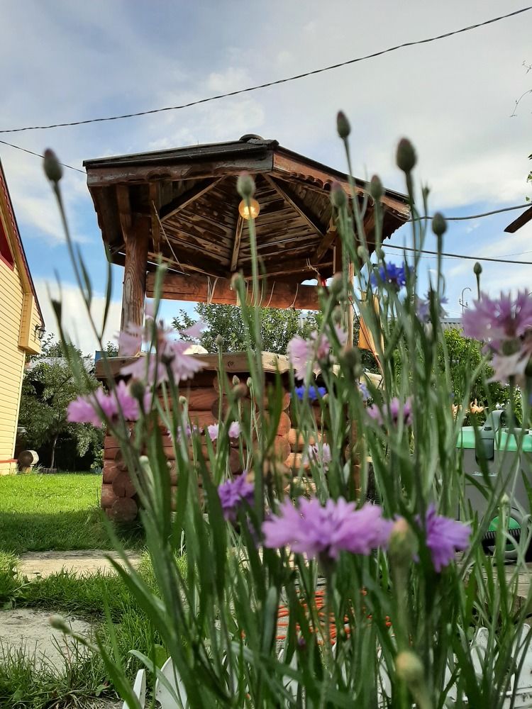 Photograph by Наталия