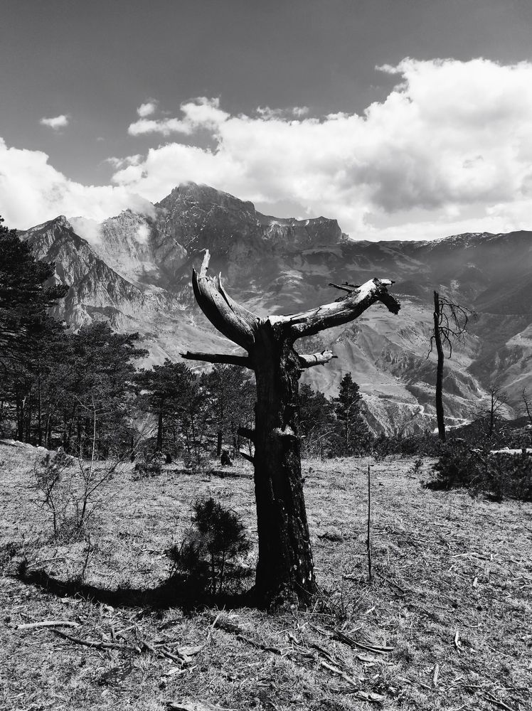 Фотография автора Эмма Марзоева