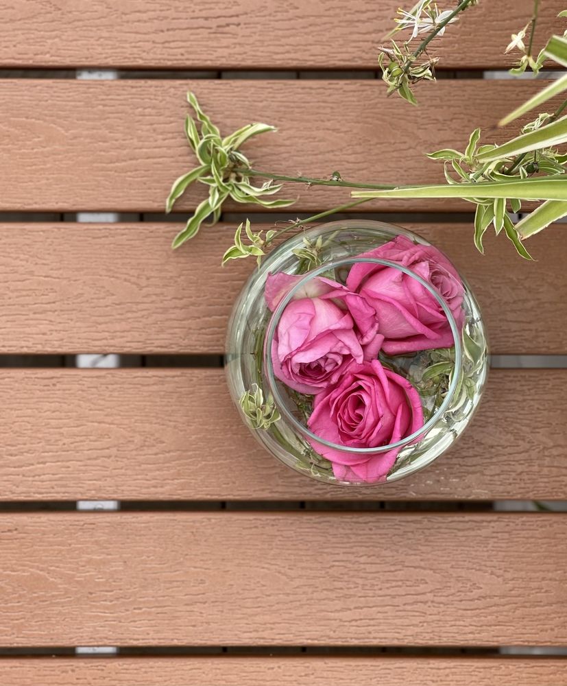 Photograph by Мария Ковригина