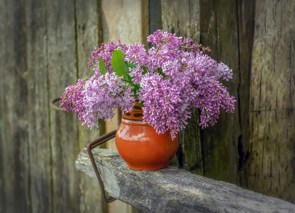 Деревенская пастораль.