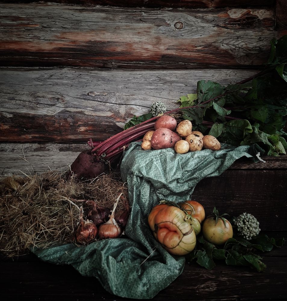 Photograph by Ксения Олина