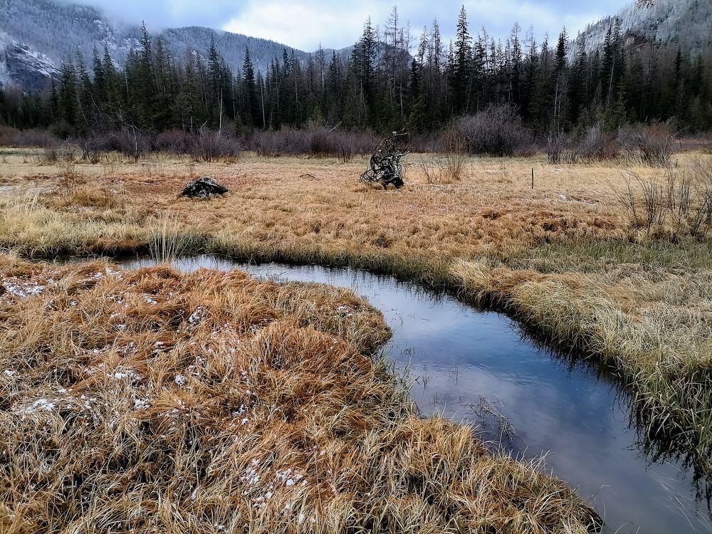 Photograph by Наталья Веряскина