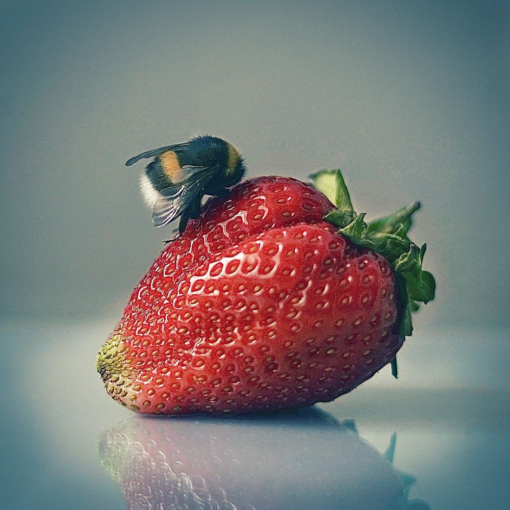 Photograph by Наталья