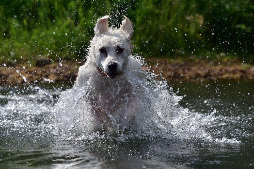 Photograph by Светлана Ивановна