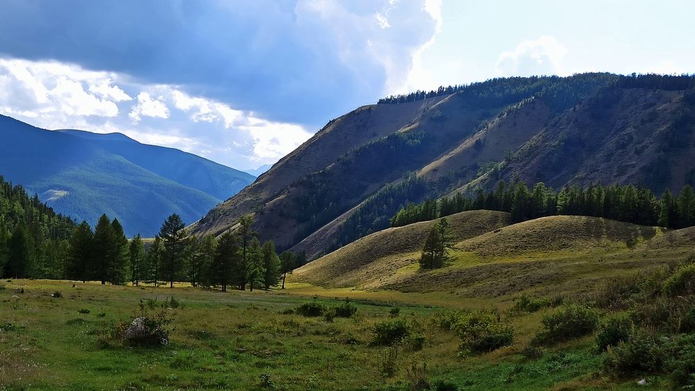 Photograph by Людмила Фурсова