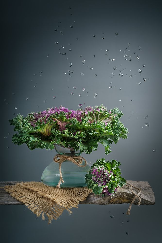 Фотография автора Ольга ЯR