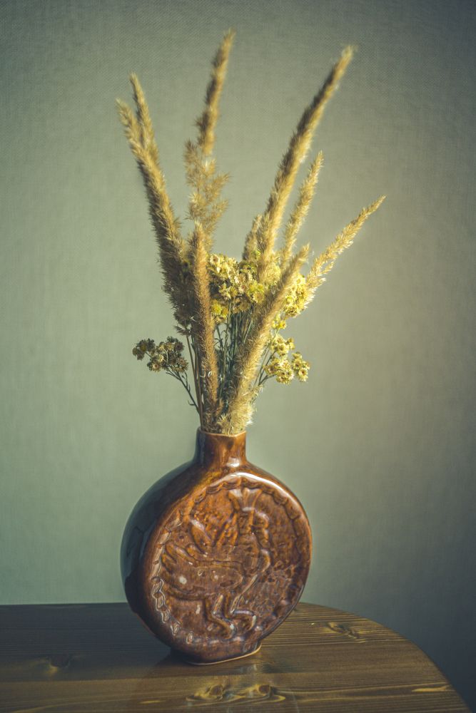 полевые цветы wild flowers