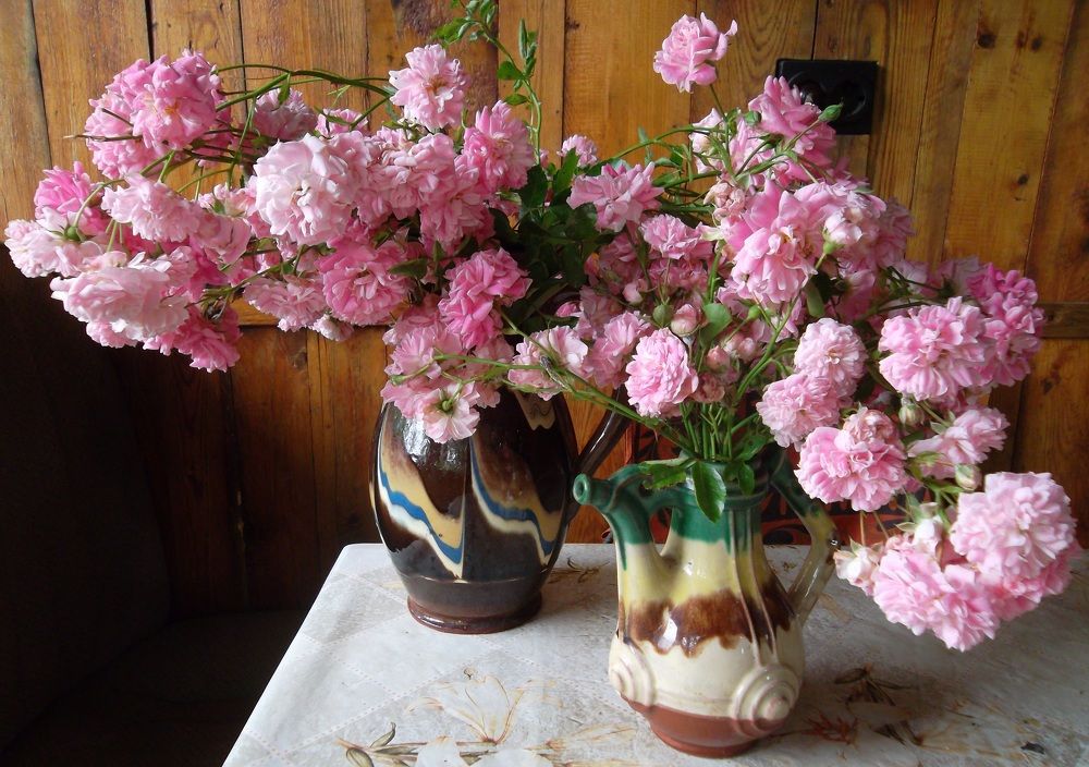 Photograph by Olga Vatkova