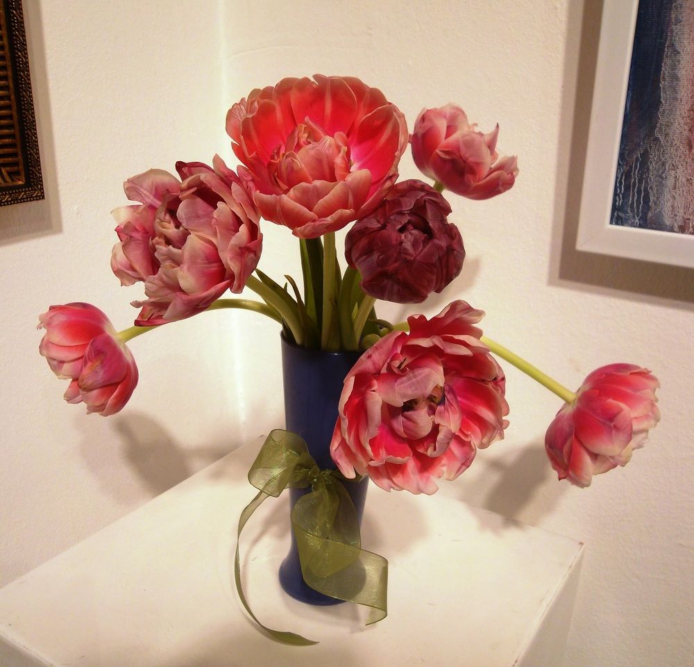 Photograph by Olga Vatkova