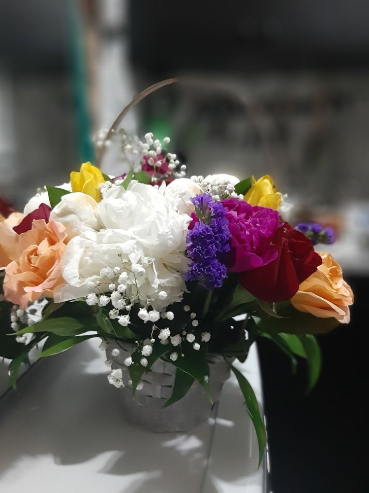 Фотография автора Мария Коледа