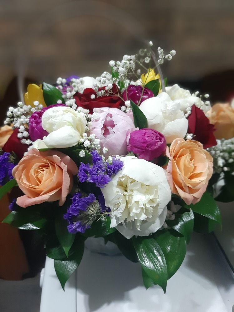 Фотография автора Мария Коледа