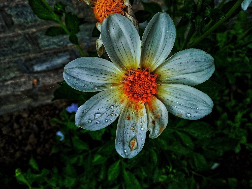 Mobile photography