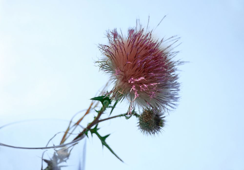 Photograph by Evgeniia Iakimenko