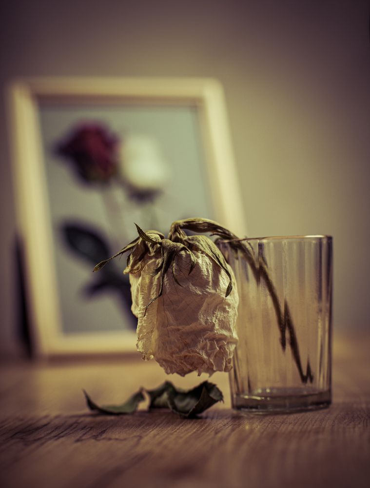 Photograph by Георгий Овсянников