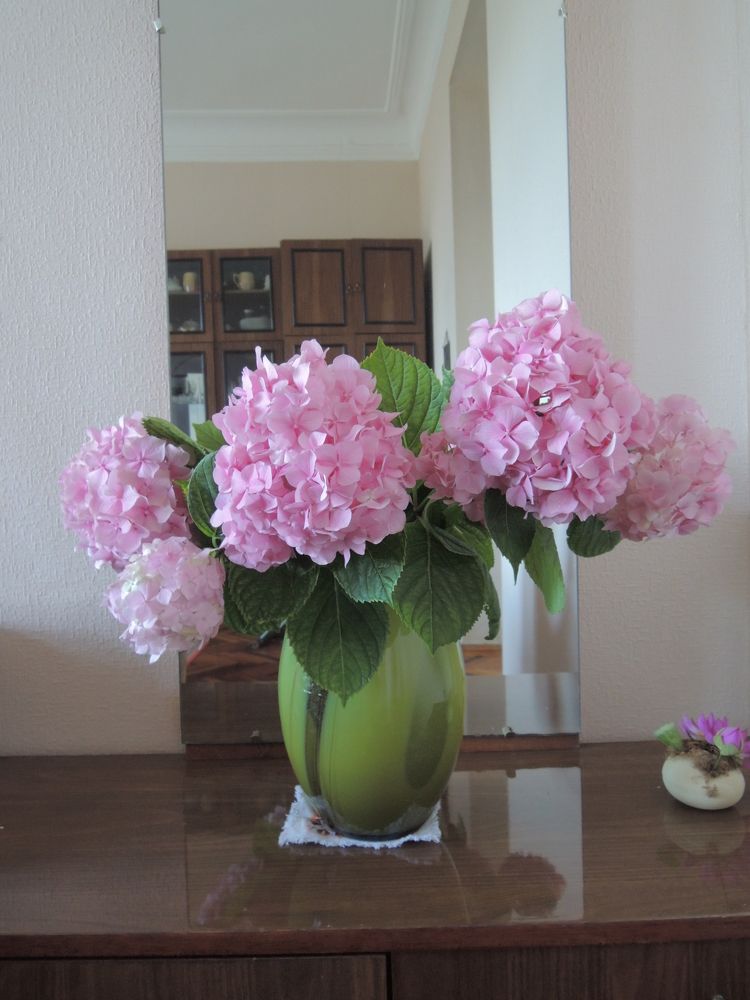 Photograph by Екатерина Крючкова