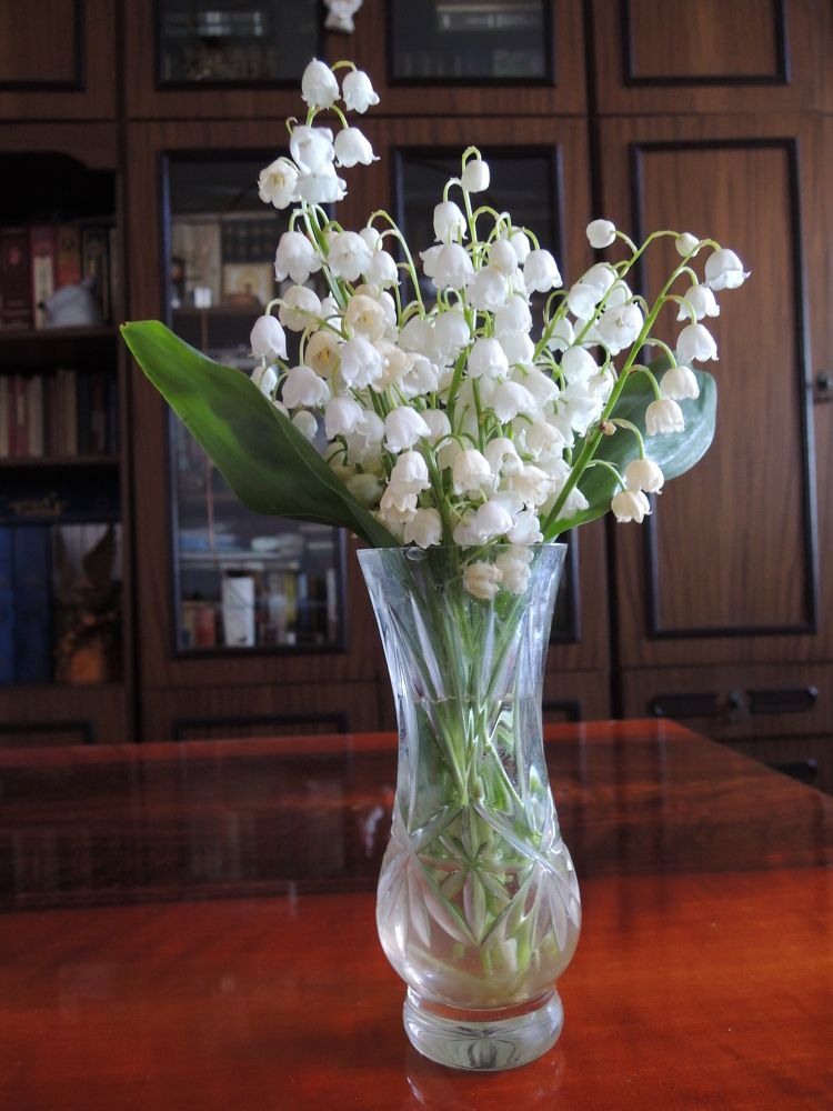 Photograph by Екатерина Крючкова